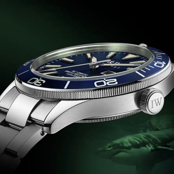 Чоловічий годинник Carnival BlueMarine Nylon Strap 10 Bar, 2 ремінці 788 фото