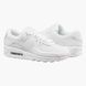 Кросівки чоловічі Nike Air Max 90 2204 фото 1