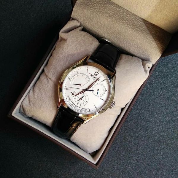 Чоловічий годинник Carnival Kinetic 98 фото