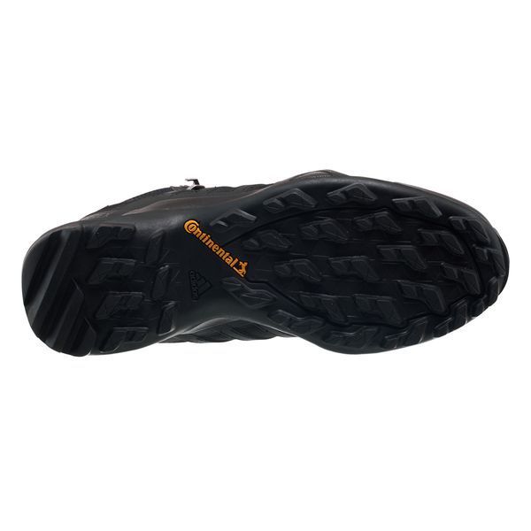 Черевики чоловічі Adidas Terrex Swift R2 Mid Gore-Tex 3074 фото