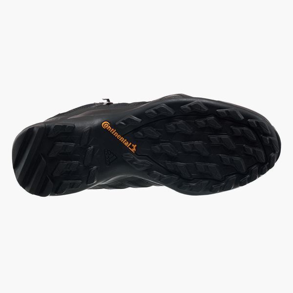 Черевики чоловічі Adidas Terrex Swift R2 Mid Gore-Tex 3074 фото