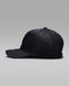 Кепка Jordan Rise Structured Curved-Bill 863 фото 4