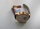 Чоловічий годинник Carnival Swiss Brown 53 фото 16