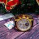 Чоловічий годинник Carnival Swiss Brown 53 фото 10
