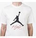 Футболка чоловіча Jordan Jumpman Flight Men's T-Shirt 3702 фото 3