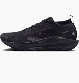 Кросівки для бігу чоловічі Nike Pegasus Trail 5 Gtx 1744 фото