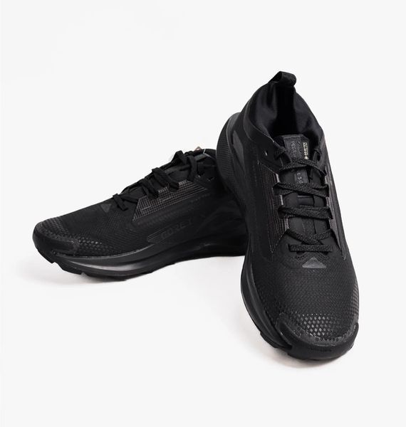 Кросівки для бігу чоловічі Nike Pegasus Trail 5 Gtx 1744 фото