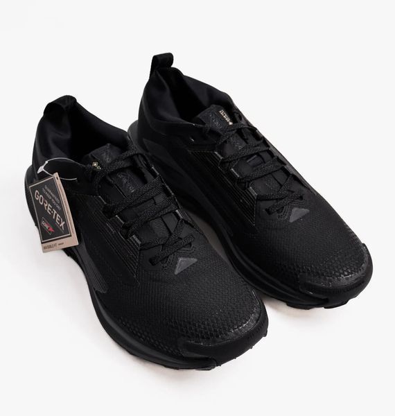 Кросівки для бігу чоловічі Nike Pegasus Trail 5 Gtx 1744 фото