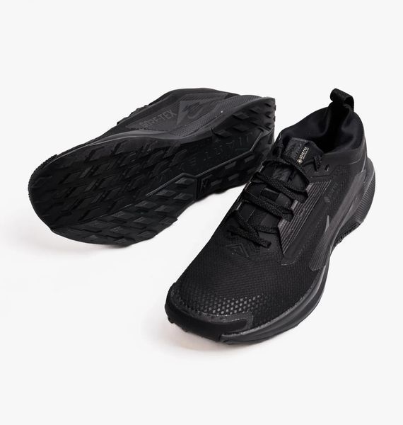 Кросівки для бігу чоловічі Nike Pegasus Trail 5 Gtx 1744 фото