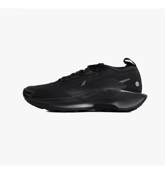 Кросівки для бігу чоловічі Nike Pegasus Trail 5 Gtx 1744 фото