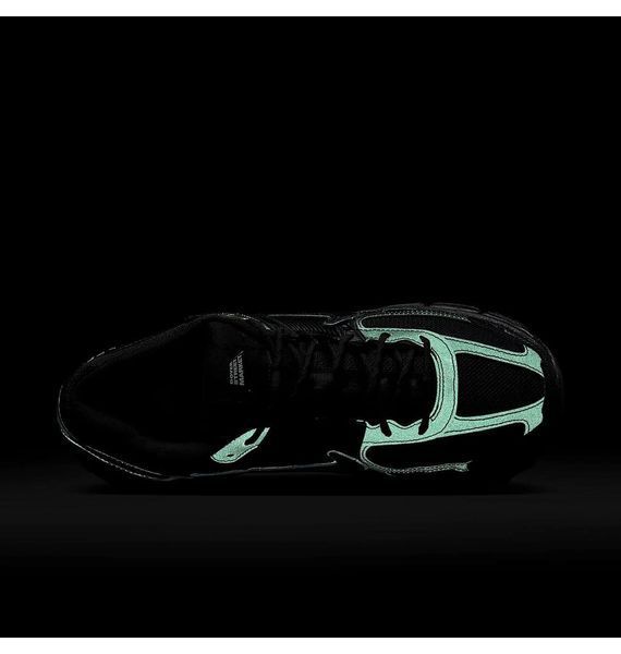 Кросівки чоловічі Nike Zoom Vomero 5 2579 фото