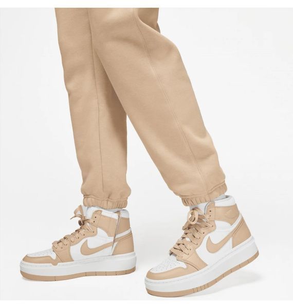 Брюки жіночі Jordan Air Brooklyn Fleece 1564 фото