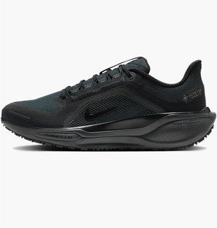 Кросівки для бігу чоловічі Nike Air Zoom Pegasus 41 Gore-Tex 1746 фото