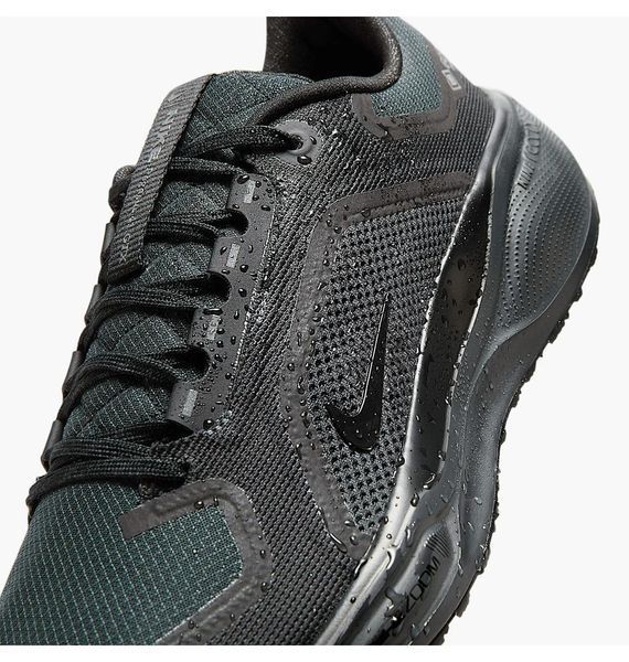 Кросівки для бігу чоловічі Nike Air Zoom Pegasus 41 Gore-Tex 1746 фото