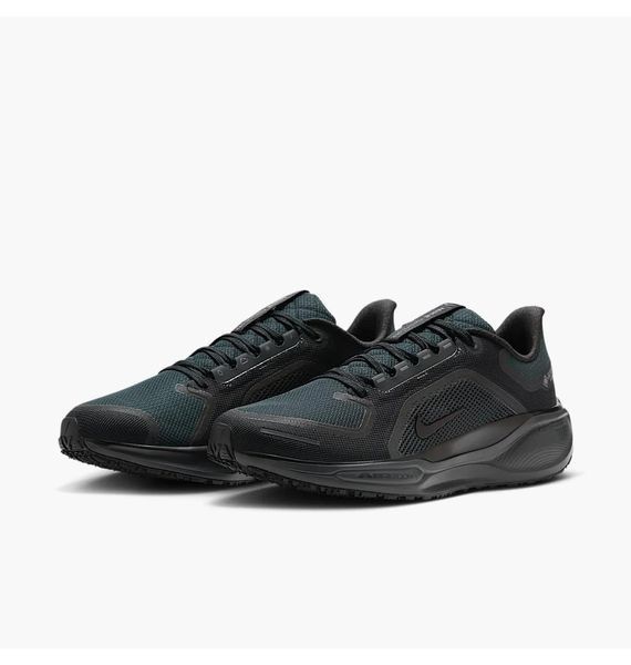 Кросівки для бігу чоловічі Nike Air Zoom Pegasus 41 Gore-Tex 1746 фото