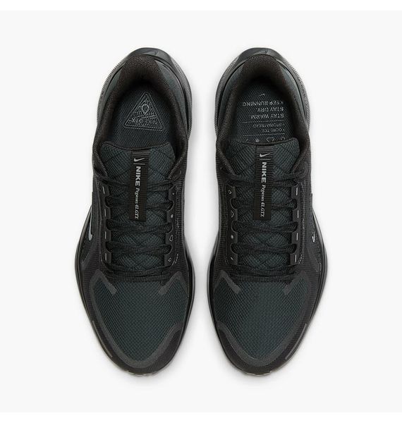 Кросівки для бігу чоловічі Nike Air Zoom Pegasus 41 Gore-Tex 1746 фото