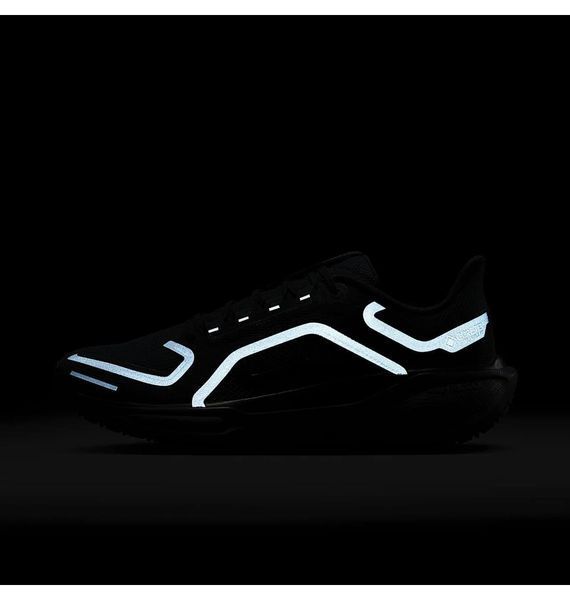 Кросівки для бігу чоловічі Nike Air Zoom Pegasus 41 Gore-Tex 1746 фото