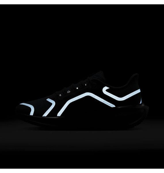 Кросівки для бігу чоловічі Nike Air Zoom Pegasus 41 Gore-Tex 1746 фото