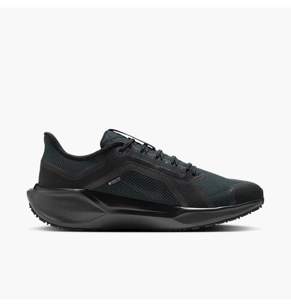 Кросівки для бігу чоловічі Nike Air Zoom Pegasus 41 Gore-Tex 1746 фото