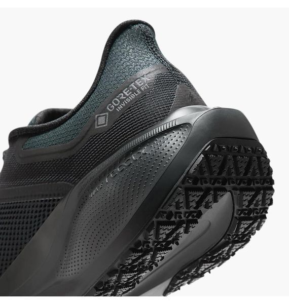 Кросівки для бігу чоловічі Nike Air Zoom Pegasus 41 Gore-Tex 1746 фото