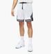 Шорти чоловічі Jordan Dri-Fit Sport 3821 фото 1