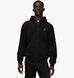 Кофта чоловіча Jordan Brooklyn Fleece 3552 фото 1