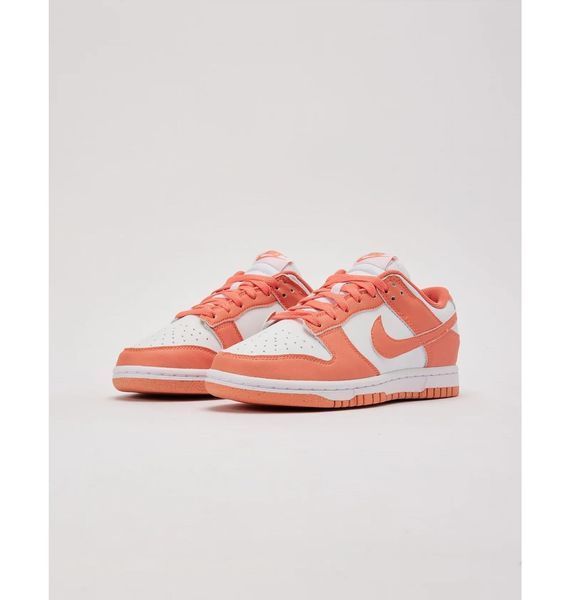 Кросівки жіночі Nike Dunk Low Next Nature 1167 фото