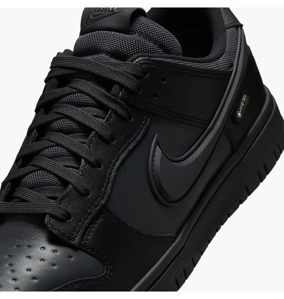 Кросівки чоловічі Nike Dunk Low Gore-Tex 2682 фото