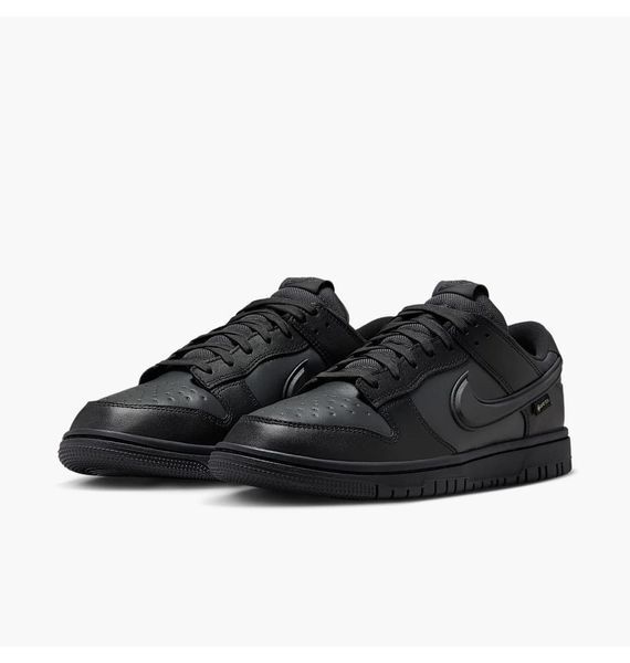 Кросівки чоловічі Nike Dunk Low Gore-Tex 2682 фото