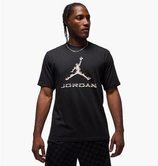 Футболка чоловіча Jordan Dri-Fit 3783 фото