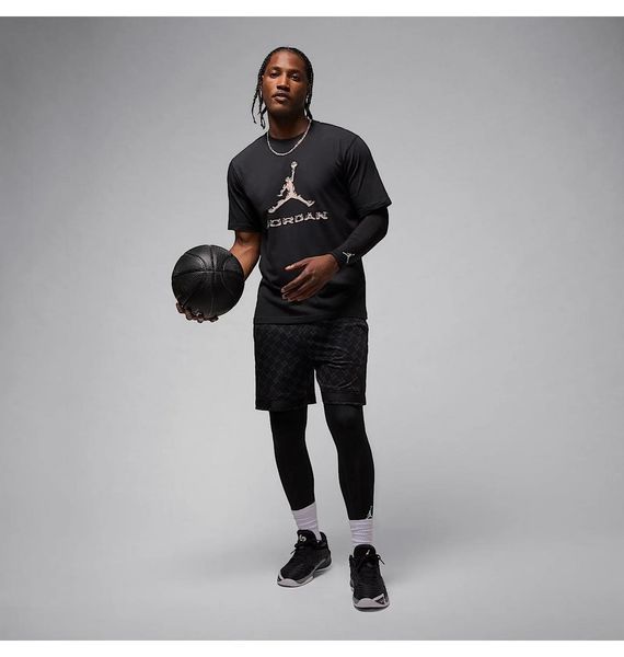 Футболка чоловіча Jordan Dri-Fit 3783 фото