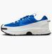 Кросівки чоловічі Nike Zoom Vomero Roam 2553 фото 1