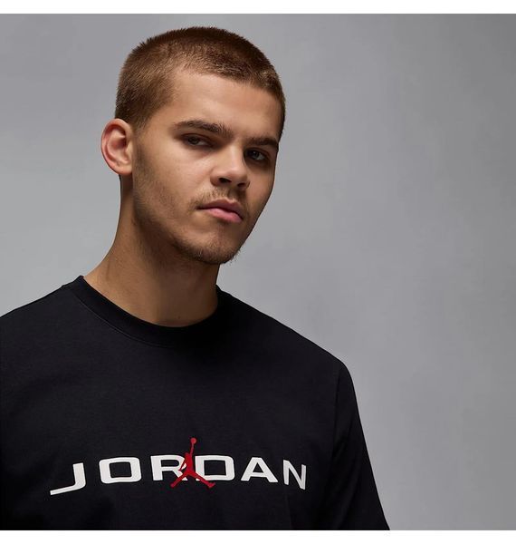 Футболка чоловіча Jordan Air T-Shirt 3789 фото