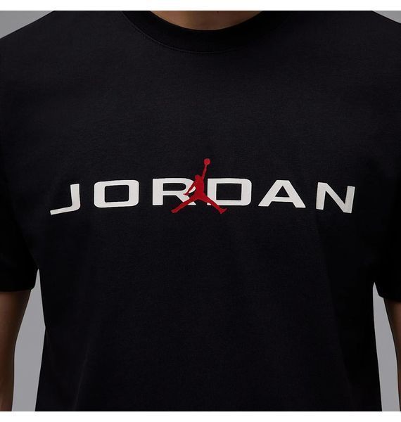 Футболка чоловіча Jordan Air T-Shirt 3789 фото