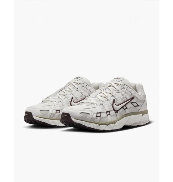 Кросівки чоловічі Nike P-6000 Earth/Sail/Phantom/Light Bone 2597 фото