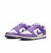 Кросівки жіночі Nike Dunk Low Next Nature 1163 фото 6
