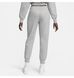 Брюки жіночі Nike Sportswear Phoenix Fleece 1596 фото 3