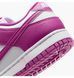 Кросівки жіночі Nike Dunk Low Next Nature 1170 фото 8